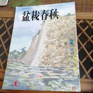 ☆盆栽春秋　1994年6月号　発行　日本盆栽協会☆