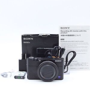 【極上品】 Sony DSC-RX100M5A RX100V A #4498