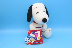 2000年Snoopy Valentine’s Day Plush Toys/スヌーピー バレンタイン/ピーナッツ/179350853