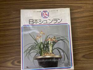 園芸書選書 ガーデンライフ編 誠文堂新光社 日本シュンラン 春蘭　/Z302