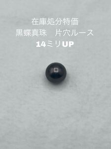 在庫処分特価　黒蝶真珠　片穴ルース　14ミリUP 041 片穴ルース 黒蝶真珠