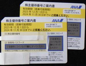 ANA株主優待券 ２枚 期限2024/11/30 1枚で片道普通運賃半額 番号通知も可 同一区間予約変更可能 普通郵便送料無料②