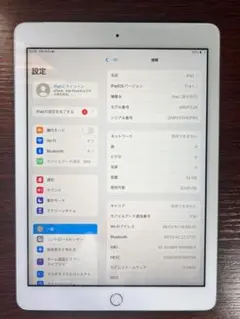 iPad (第6世代)  Wifi + セルラー  ストレージ32GB