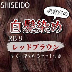 最安値！資生堂　白髪染めセット（ロングヘア用）RB8 レッドブラウン