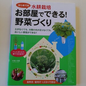 USED お部屋でできる！野菜づくり　はじめての水耕栽培 （はじめての水耕栽培） 中島水美／著