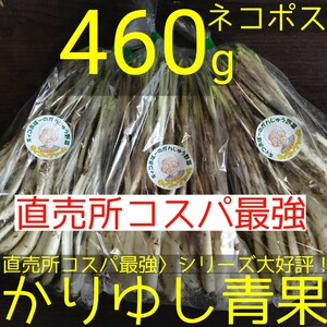 〈直売所コスパ最強〉沖縄県産　Ｋおばーの島らっきょう約460g【ネコポス】①