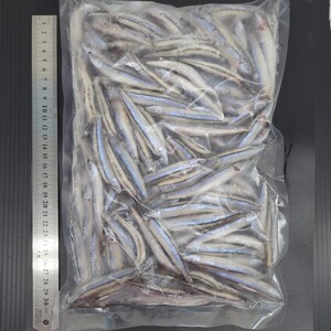 追加OK！80サイズ　送料＋冷凍クール料金　冷凍きびなご　1kg　魚サイズ約9cm　送料は画像の2枚目になります。（沖縄、離島除く）