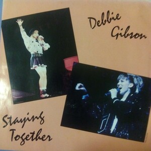 デビー　ギブソン　debbie gibson staying together 88年　ep 7inch 裏面　dub edit 