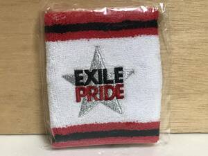 希少 エグザイル EXILE PRIDE リストバンド 未使用品 ライブツアー 2013 グッズ