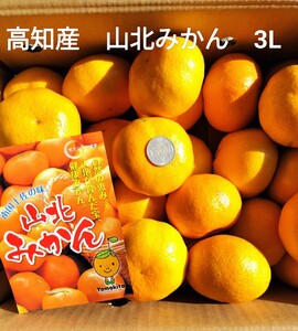 ☆高知産☆約５Kg☆　山北みかん　品種興津　３Lサイズ　☆☆☆