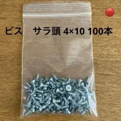 ビス ネジ バラ売り サラ頭 ユニクロ 4mm×10mm 100本