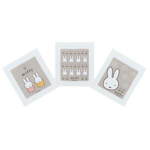 おしぼりタオル 3枚セット miffy ミッフィー スケーター