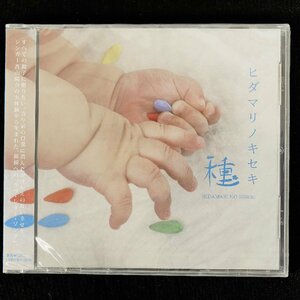 訳あり 未開封 CD 高山陽介 ヒダマリノキセキ 種 / HIDAMARI NO KISEKI [F4310]