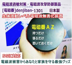 電磁波ノイズ汚染防御グッズ 過敏症対策 有害電磁波中和「電磁番AZ」３点セット・送料無料