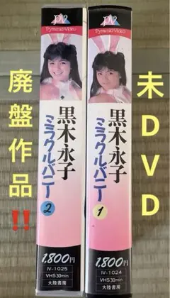 入手困難で廃盤‼️未DVD『ミラクルバニーパート1.2』全2巻　VHS  ビデオ