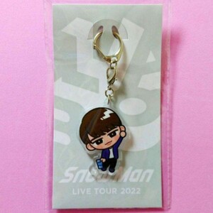 ＊Snow Man＊LIVE TOUR 2022 Labo. スノラボ すのチル アクリルキーホルダー【渡辺翔太】アクキー