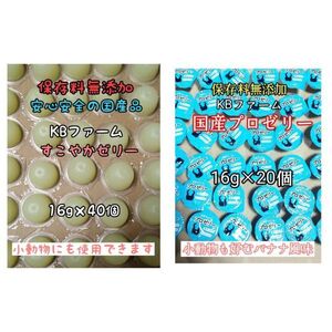 国産ゼリー KBファーム すこやかゼリー 16g 40個 プロゼリー 16g 20個 カブトムシ クワガタ 昆虫