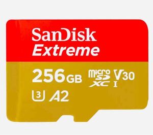 4K 対応　マイクロsd microSD 256GB エクストリーム　microSD 256GB SanDisk サンディスク Extreme 