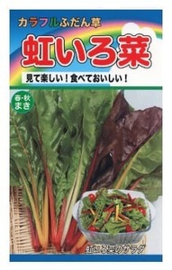 ふだん草 虹いろ菜 うまい菜 スイスチャード 種子 野菜のたね 家庭菜園