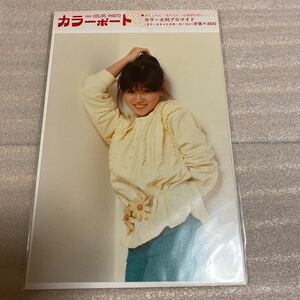 □中森明菜 大判プロマイド カラーポート 新品未開封品