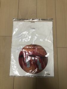 エレクトリックコテージ(fragment ec goodenoug )Tシャツ 新品 Lサイズ