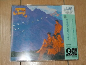 CD選書盤 アルバム★ゼルダ ZELDA / 空色帽子の日★白井良明(ムーンライダース)プロデュース,高橋サヨコ,小嶋さちほ,石原富紀江,小澤亜子