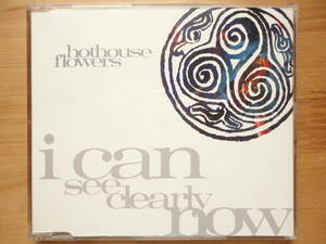 ●SINGLE CD 美品 ホットハウス・フラワーズ HOTHOUSE FLOWERS / I CAN SEE CLEARLY NOW UK盤 個人所蔵品 ● 3点落札ゆうパック送料無料 ●