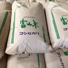 ココさま専用　新米富山県産コシヒカリ 30kg×2