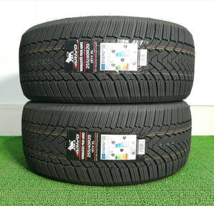 255/40R20 101V XL ARIVO ARW3 新品 スタッドレスタイヤ 2本セット 2024年製 ※本州送料無料 255/40/20