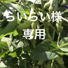 らいらい様　専用です　　山菜　野菜