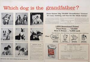 稀少！1957年ゲインズ広告/Gaines/犬/Dog Food/Cocker Spaniel/Basset Hound/Beagle/West Highland/Shephered/36