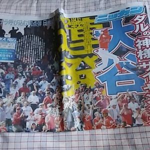 日刊スポーツ●2018年4月6日 日刊スポーツ●新聞