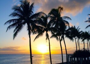 ワイキキビーチの日の出 朝陽 ヤシの木 ハワイ 海 絵画風 壁紙ポスター A2版 594×420mm（はがせるシール式）004A2