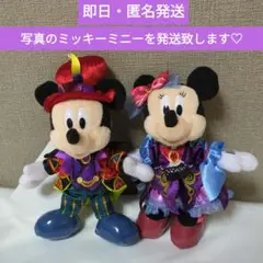 ディズニーハロウィーン2024 ミッキー　ミニー　ぬいぐるみバッチ　ぬいば