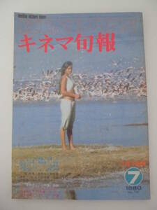 【キネマ旬報】1980年7月下旬号　「アフリカ物語」特集/「桜」特集/「奇跡の人」小特集/「ウォーターシップダウンのうさぎたち」　他　 