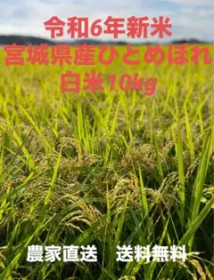 【令和6年新米】宮城県産ひとめぼれ白米10kg