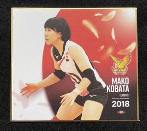 ☆トレーディングmini色紙 12 小幡真子 火の鳥NIPPON 2018 バレーボール