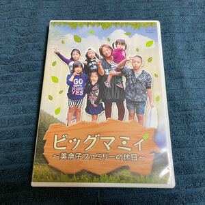 【送料無料】 「ビッグ・マミィ 美奈子ファミリーの休日」 セル版 DVD PCBG-11211 大家族 Raychell レイチェル