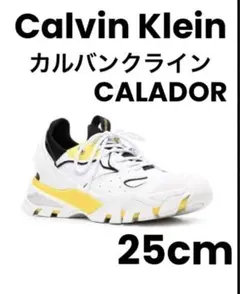Calvin Klein カルバンクライン スニーカー CALADOR 白 ロー