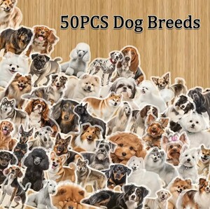 S11【新品未使用】50枚 犬 シール ステッカー いぬ イヌ わんこ 動物 ペット かわいい