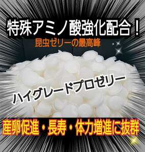 クワガタ、カブトムシの餌はコレ！ハイグレードプロゼリー【100個】食べやすいワイドカップ☆トレハロース強化！産卵促進・長寿効果抜群