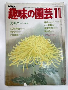 NHK趣味の園芸 1983年11月号　大ギク・ユリ・洋ラン・小品盆栽【H78452】