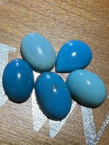 送料無料♪ high-gradeターコイズ 訳あり おまとめ n 3 天然トルコ石 ルース turco turquoise jewelry インディアンジュエリー