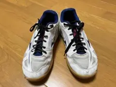 Mizuno バレーボールシューズ ホワイト/ネイビー