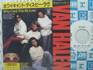 【白ラベル】ヴァン・ヘイレン Van Halen／ホワイ・キャント・ディス・ビー・ラヴ (WB)▼全米1986年3位■見本盤　※Sammy Hagar