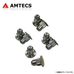 AMTECS アムテックス SPC 86325 交換用アライメントピン 8個入 フロント用 シボレー サバーバン 2000～2019 RWD/4WD