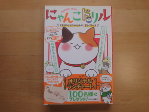 １ページ角に折れ有【中古】にゃんこドリル/今泉忠明/新星出版社 単行本6-5