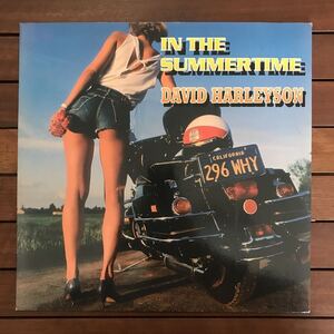 【reggae-pop】David Harleyson / In The Summertime［12inch］オリジナル盤《9595》