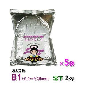 日清丸紅飼料 おとひめB1 沈下 2kg×5袋 送料無料 但、一部地域除