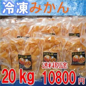 冷凍みかん ２０kg（1ｋｇ×２０袋）　訳あり　宮崎県産　温州みかん　ご自宅用　ご家庭用